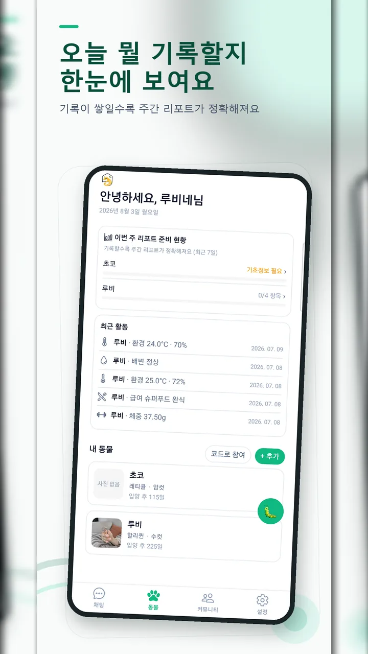 이번 주 리포트 준비 현황과 최근 기록, 등록한 동물 목록을 보여주는 홈 화면